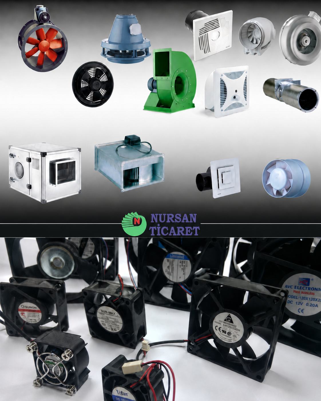 FAN GRUPLARI